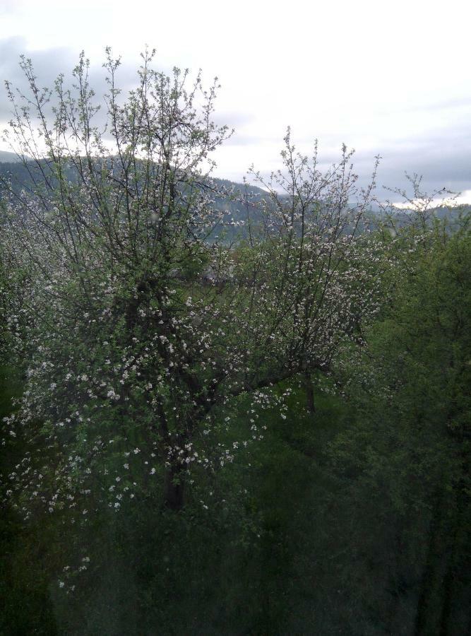 Holiday Home Tihiy Dvor Микуличин Экстерьер фото